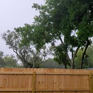 More of that Florida Weather