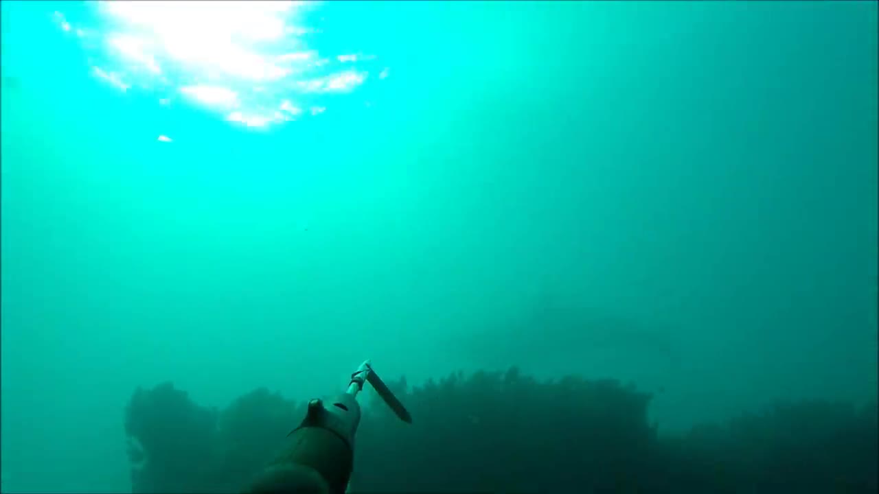 Spearfishing big BARRACUDA 20 kg. Подводная охота барракуда 20 кг.-9