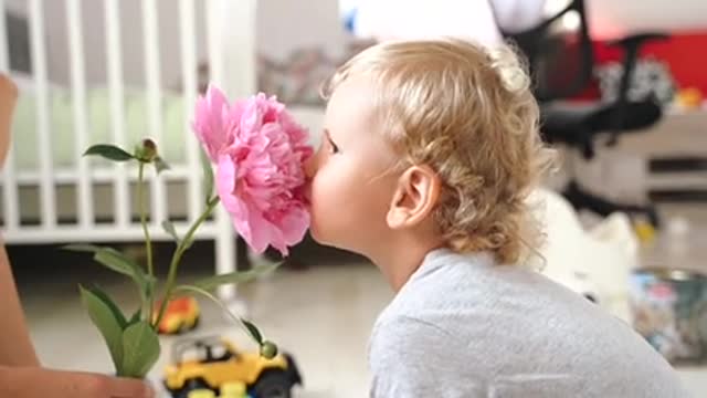 Cute baby playing with beautiful flower | Baby |