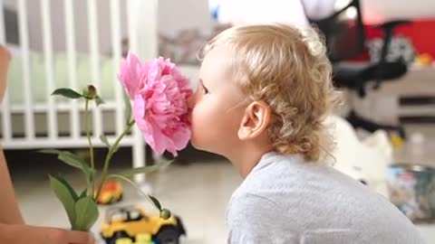 Cute baby playing with beautiful flower | Baby |