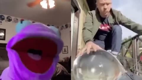 kermitontiktok FUNNIEST VIDEOS