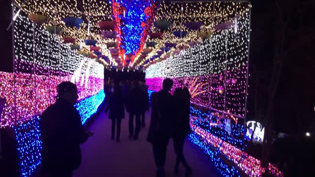 Beautiful illuminations in Korea