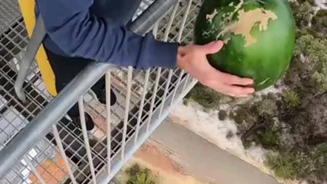 Watermelon Vs World’s Largest Exercise Ball