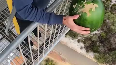 Watermelon Vs World’s Largest Exercise Ball