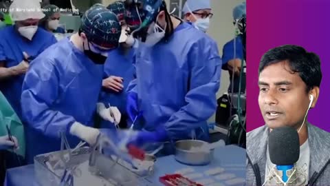 Pig heart transplanted to human|TALA TV