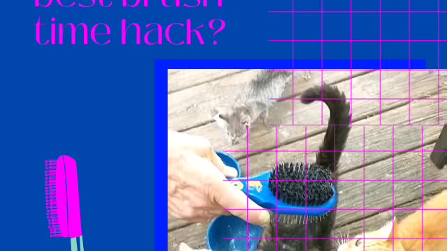 Brushing Hacks