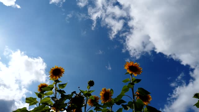 Time Lapse Thick Clouds Passing Above Covers The Sunlight