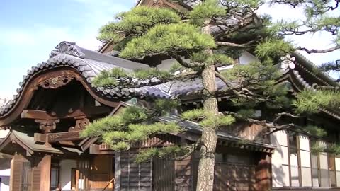 Beautiful Japanese Architecture