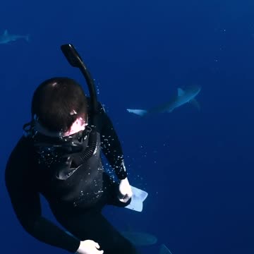 shark in water first exclusive video on rumble Donald Trump Jr The Dan Bongino Show