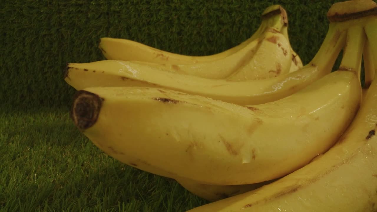 Pair of plantain stalks in a close up shot