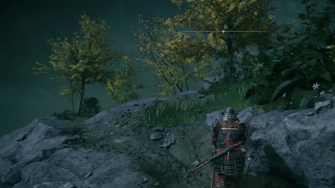 elden ring ( best game ever )
