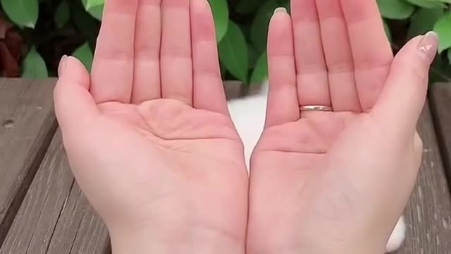 If you train your dog then this is what you get! The cutest dog I've ever seen! | TIKTOK