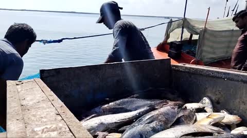 Big Fish Catching || Amazing GholFish || Deep sea in Gujarat fishing Boat ||-14