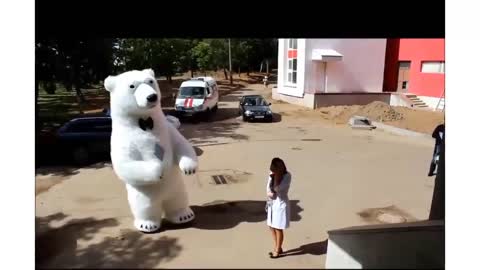 Congratulations to the Polar Bear.Поздравление Белого медведя