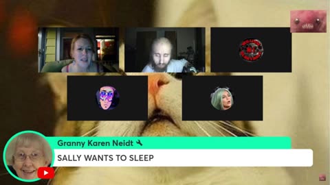 [15Mar24] Cyraxx on Courtneys panel with guests (pt2 angry raxx shows up)