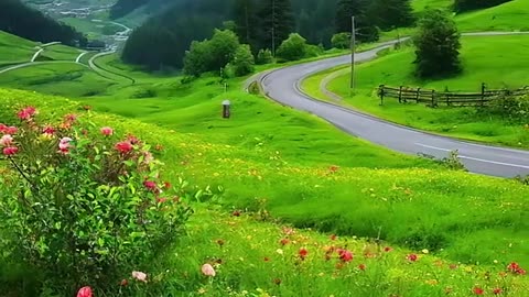 Copyright free hd nature videos-Peaceful Relaxing Music #relaxing #nature