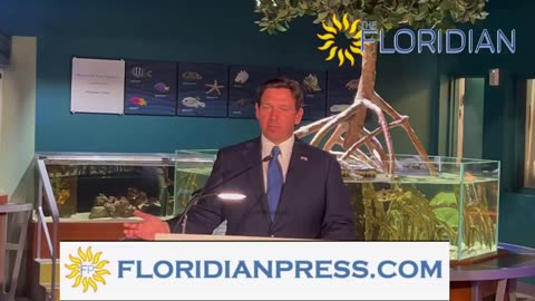 USA: Gov. DeSantis calls for deporting foreign students for anti-semitic protest!