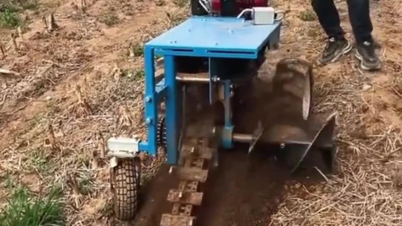 CRC vídeos curiosos