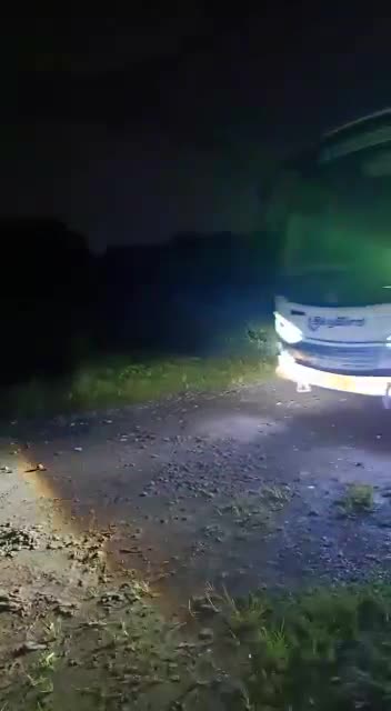 Rillis bus servis head lamp and interior lighting