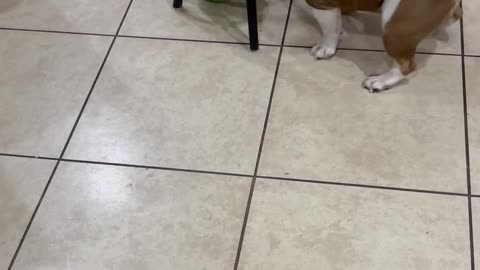 you can't give up now