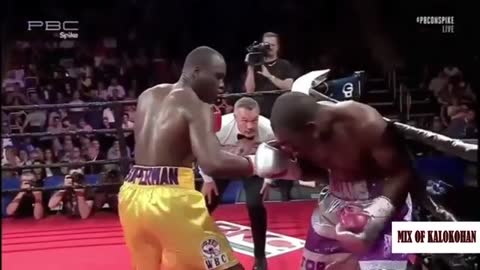 Best Funny Moments In boxing and knockouts