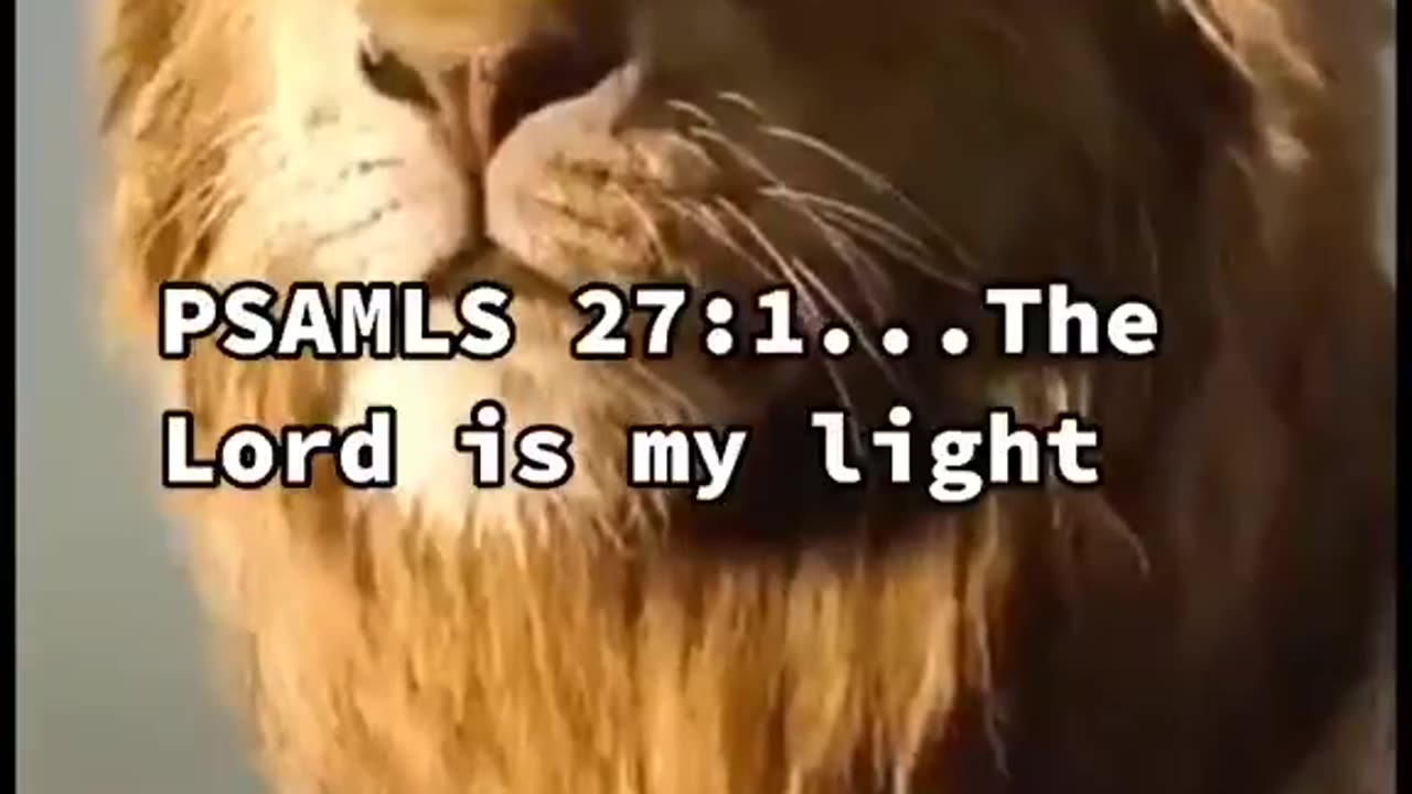 the word