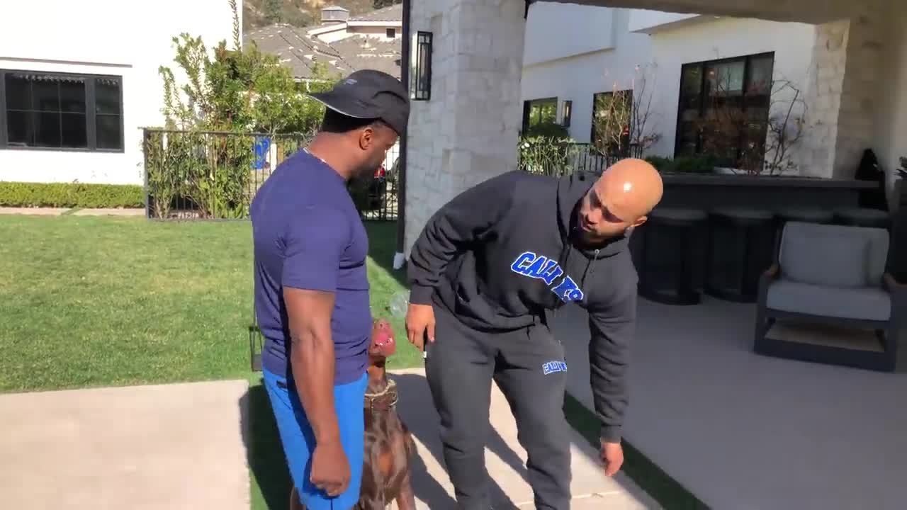 Kali K9 With Kevin Heart and Jason Darulo dog training step by step