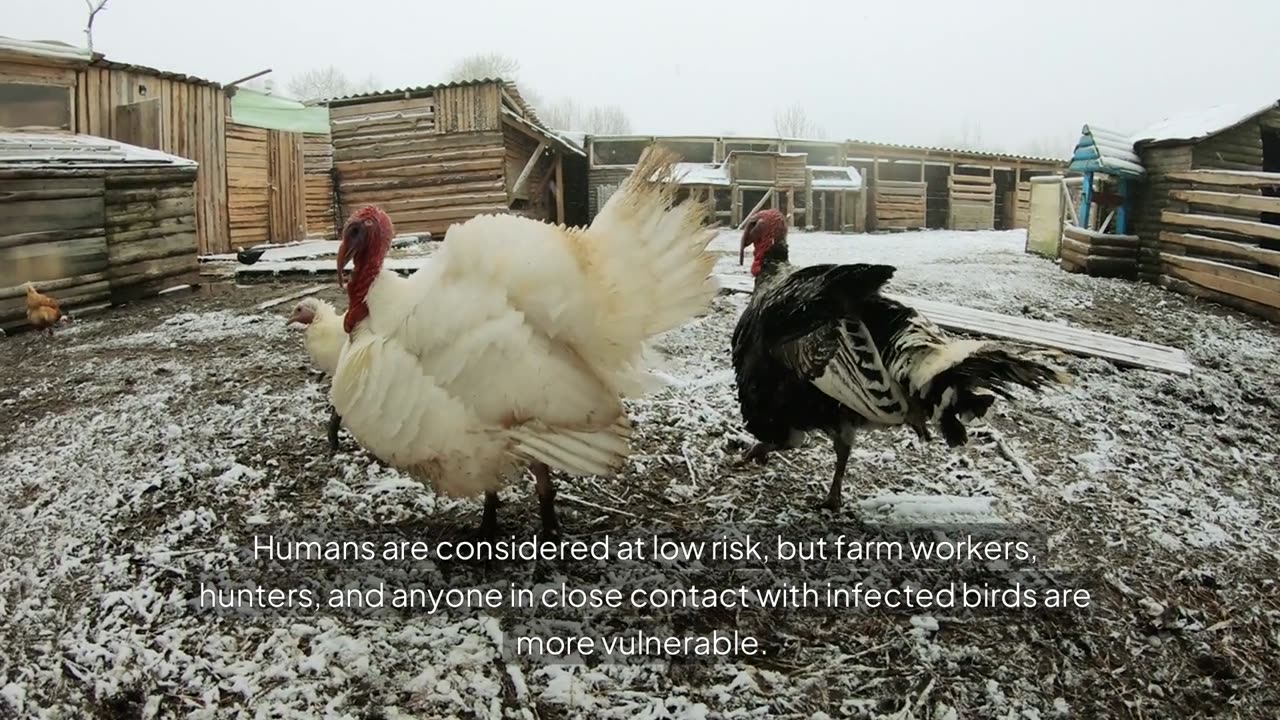 Avian Flu Resurgence: How Migratory Birds Are Spreading a Silent Epidemic*