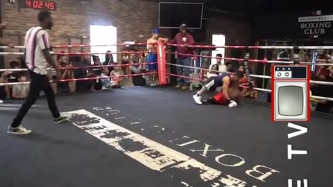 Boxing midgets, Brutal Dwarf Fight #boxing #Dwarfs #comedy #fighting