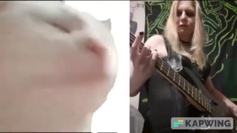 💚Return Of Vibe Cat🖤