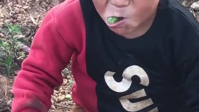 Funny video children eating prut