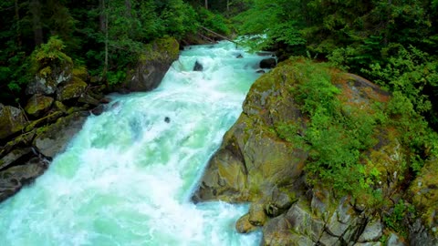Relaxing Instrumental Music for sleeping Water, Piano, Birds