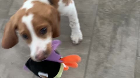 Jetson with his new toy!