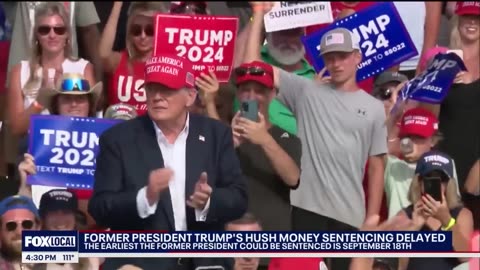 Donald Trump: NY judge delays sentencing