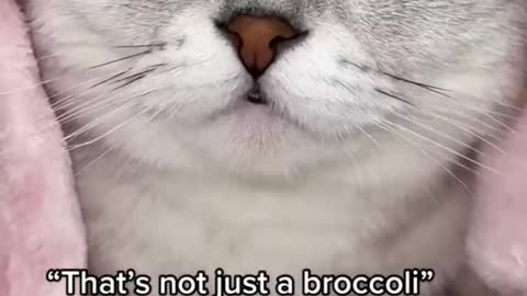 Do you like broccoli 🥦