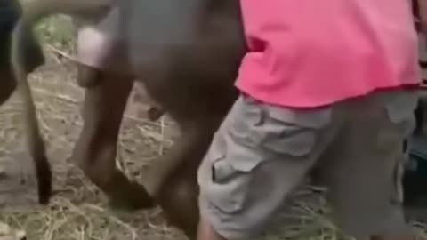 Funny And Happy Videos#1_#shorts #memes #reaction #meme #funny #fyp