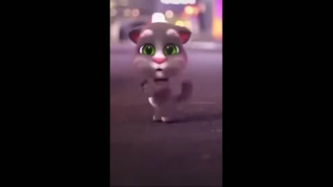 KITTEN DANCING