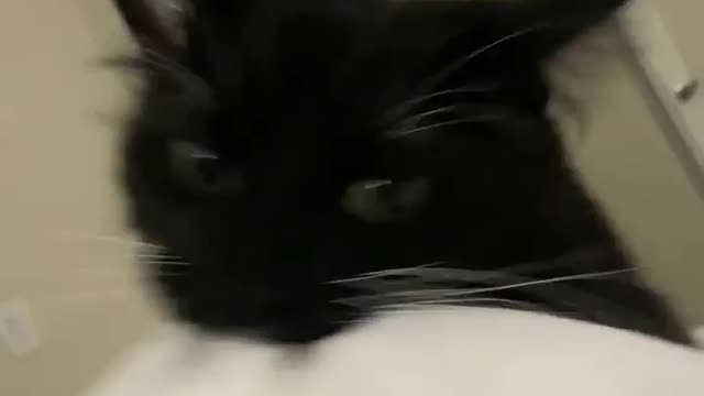 "He won’t let go."