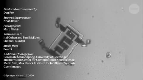 GRAPHENE NANOBOTS (2020)