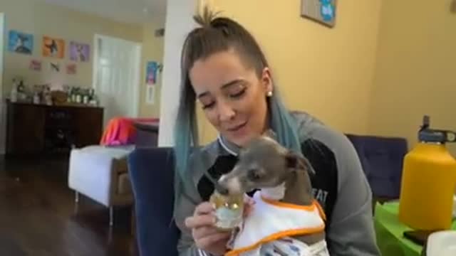 Treating My Dogs Like Babies For A Day(360P)