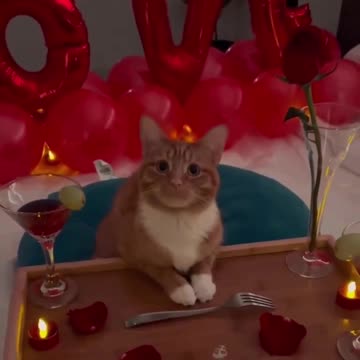 When you can’t be with the one you love 🤣