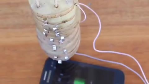 Charging your phone from potatoes