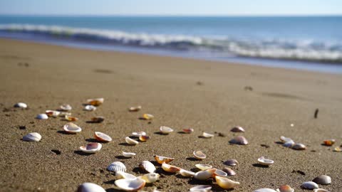 marine beach landscape nature / calm