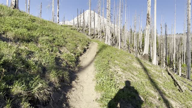 Climbing the Alpine Zone of Tilly Jane Trail – Mount Hood – Oregon – 4K