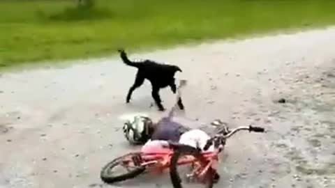 Unexpected incident a boy with bicycle(Funny Video)