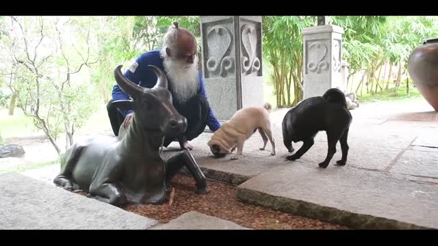 Sadhguru Shows Us How He Stays Fit For Life #Fitness Challange