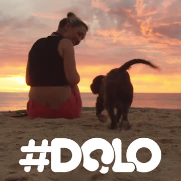 #DOLO: Dogs only live once - so make it last