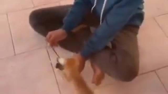 Is time for play monkey