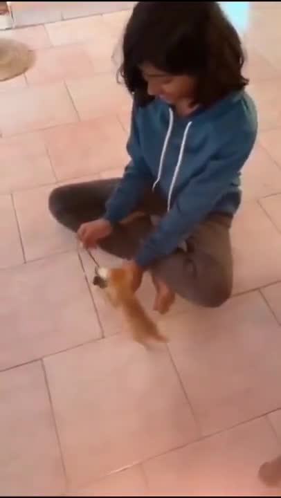 Is time for play monkey