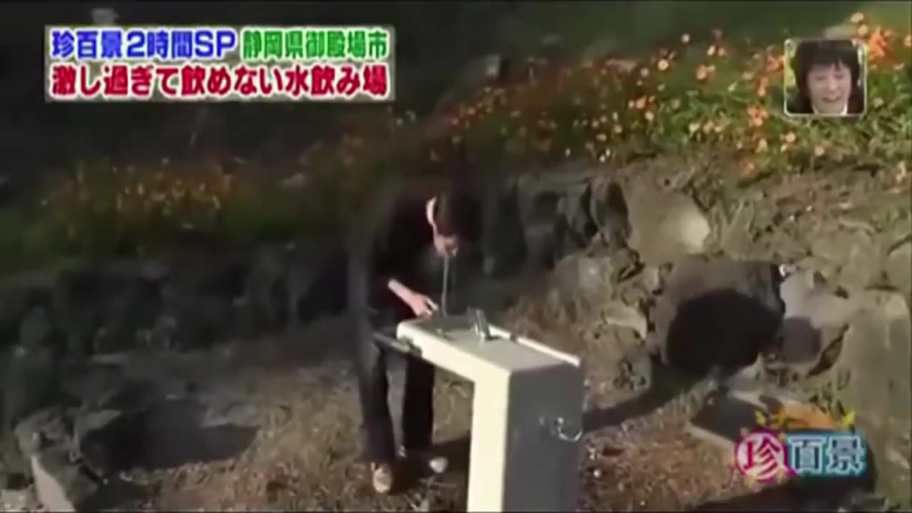 HILARIOUS Weird Funny Japanese Pranks Compilation